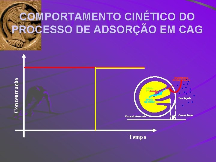 Concentração COMPORTAMENTO CINÉTICO DO PROCESSO DE ADSORÇÃO EM CAG Transferência externa de massa Difusão