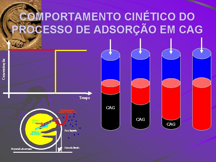 Concentração COMPORTAMENTO CINÉTICO DO PROCESSO DE ADSORÇÃO EM CAG Tempo Transferência externa de massa