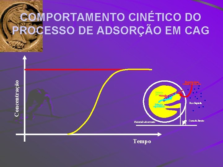 Concentração COMPORTAMENTO CINÉTICO DO PROCESSO DE ADSORÇÃO EM CAG Transferência externa de massa Difusão