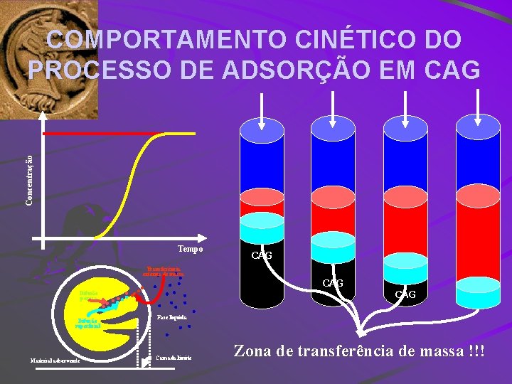 Concentração COMPORTAMENTO CINÉTICO DO PROCESSO DE ADSORÇÃO EM CAG Tempo Transferência externa de massa