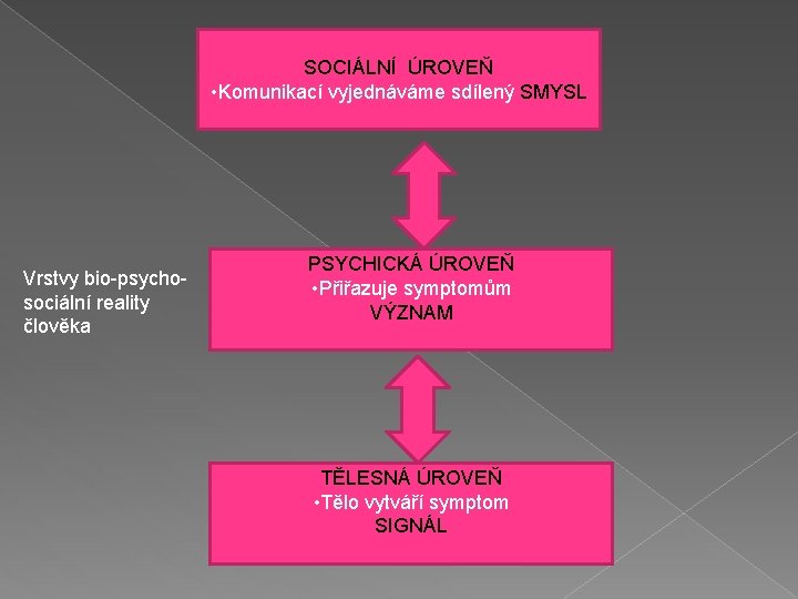 SOCIÁLNÍ ÚROVEŇ • Komunikací vyjednáváme sdílený SMYSL Vrstvy bio-psychosociální reality člověka PSYCHICKÁ ÚROVEŇ •