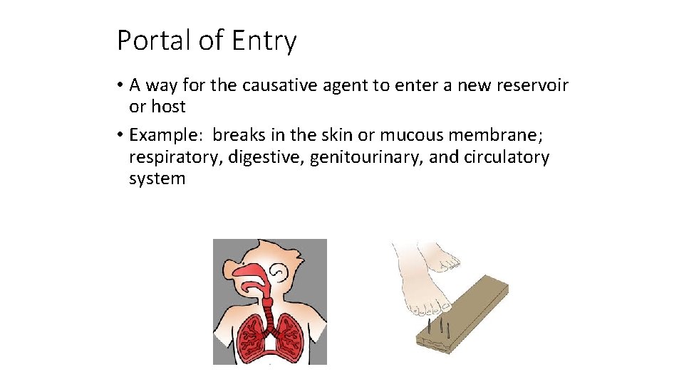 Portal of Entry • A way for the causative agent to enter a new