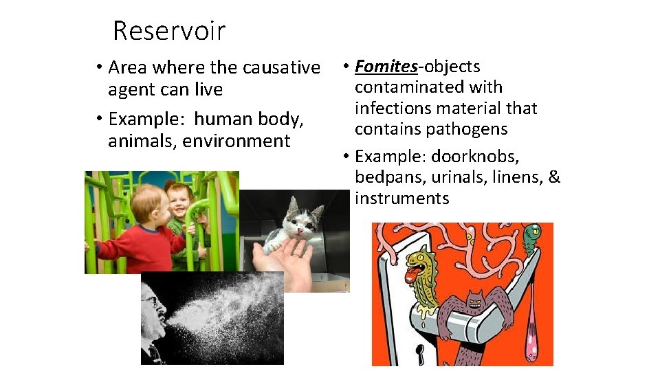 Reservoir • Area where the causative agent can live • Example: human body, animals,