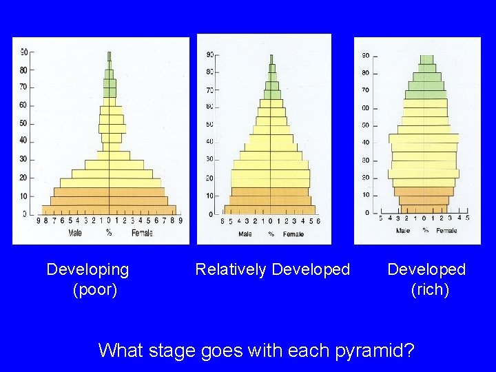 Developing (poor) Relatively Developed (rich) What stage goes with each pyramid? Developing (poor) Relatively Developed (rich) What stage goes with each pyramid?