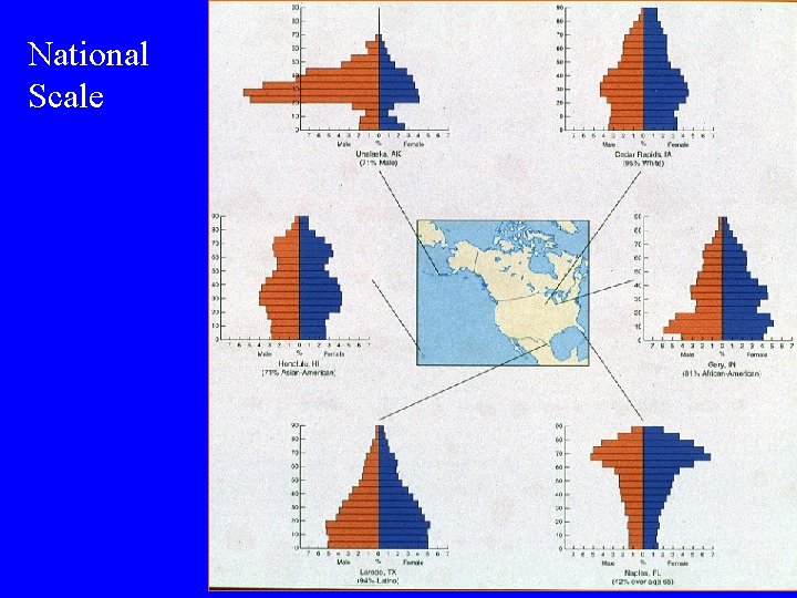 National Scale National Scale