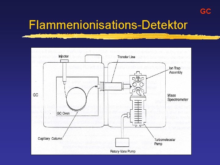 GC Flammenionisations-Detektor 