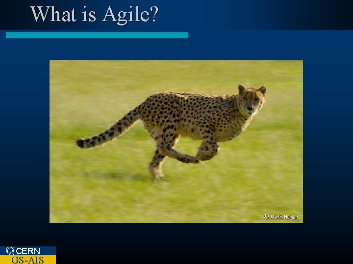 What is Agile? CERN GS-AIS 