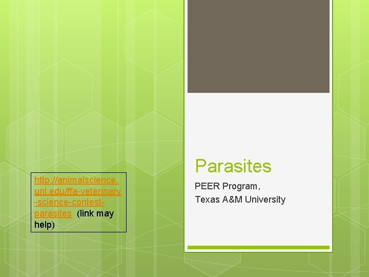 http: //animalscience. unl. edu/ffa-veterinary -science-contestparasites (link may help) Parasites PEER Program, Texas A&M University http: //animalscience. unl. edu/ffa-veterinary -science-contestparasites (link may help) Parasites PEER Program, Texas A&M University