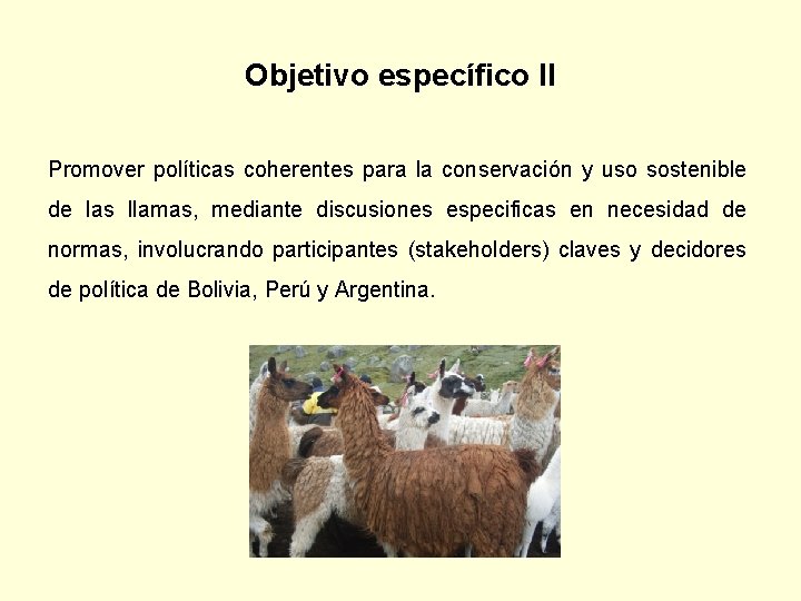 Objetivo específico II Promover políticas coherentes para la conservación y uso sostenible de las