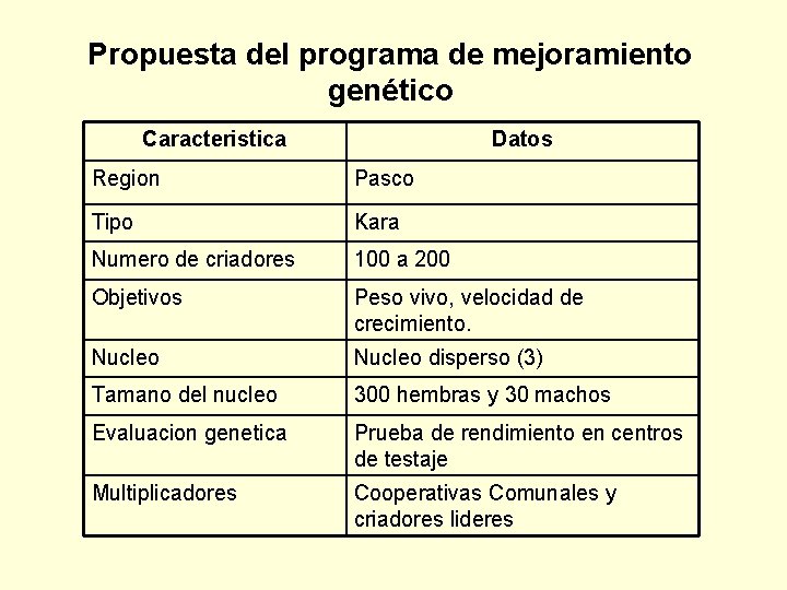 Propuesta del programa de mejoramiento genético Caracteristica Datos Region Pasco Tipo Kara Numero de