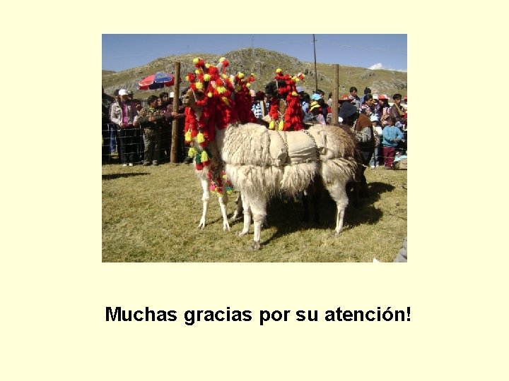 Muchas gracias por su atención! 