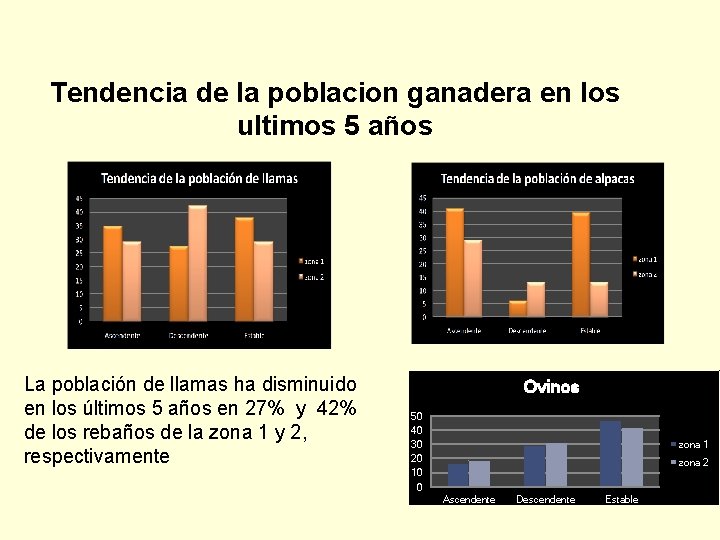 Tendencia de la poblacion ganadera en los ultimos 5 años La población de llamas