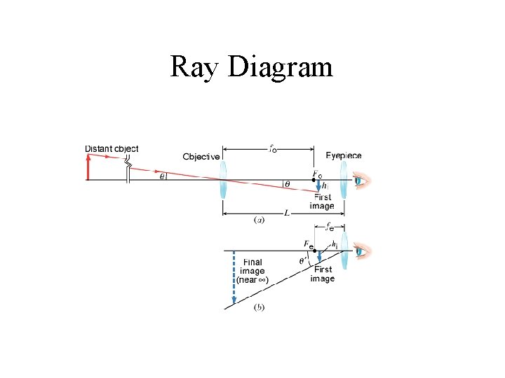 Ray Diagram 