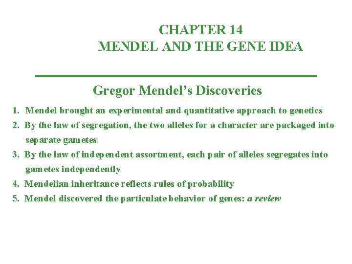 CHAPTER 14 MENDEL AND THE GENE IDEA Gregor Mendel’s Discoveries 1. Mendel brought an