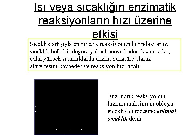 Isı veya sıcaklığın enzimatik reaksiyonların hızı üzerine etkisi Sıcaklık artışıyla enzimatik reaksiyonun hızındaki artış,