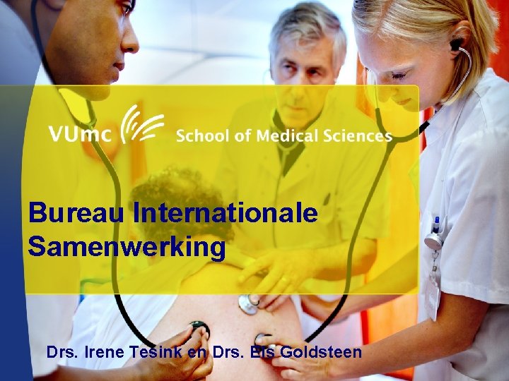 Bureau Internationale Samenwerking Drs. Irene Tesink en Drs. Els Goldsteen 