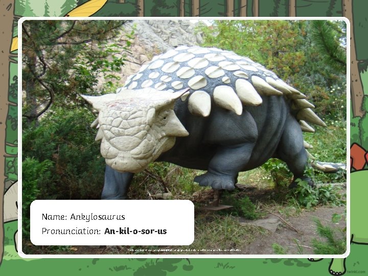 Name: Ankylosaurus Pronunciation: An-kil-o-sor-us Photo courtesy of ubermoogle 2006(flickr. com)- granted under creative commons