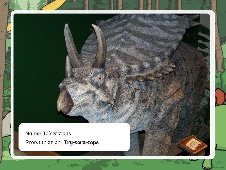 Name: Triceratops Pronunciation: Try-sera-tops 