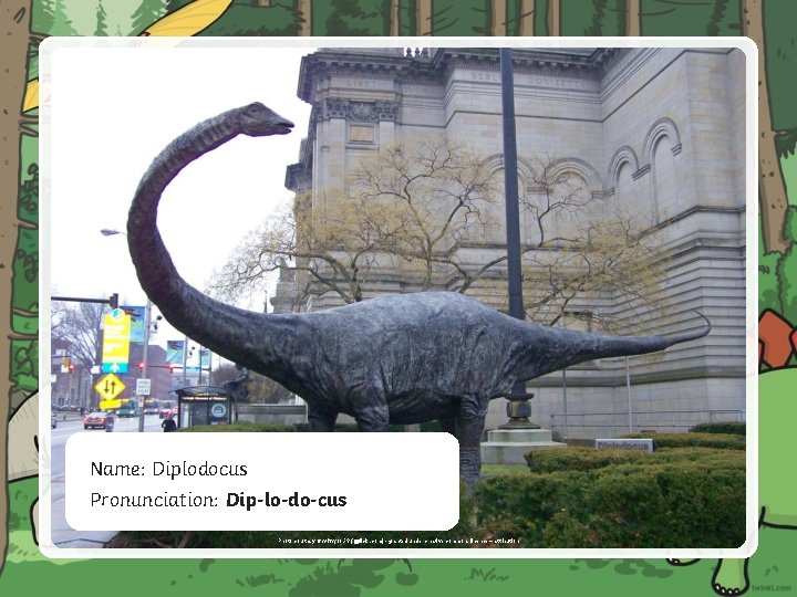 Name: Diplodocus Pronunciation: Dip-lo-do-cus Photo courtesy of sabreguy 29 (@flickr. com) - granted under