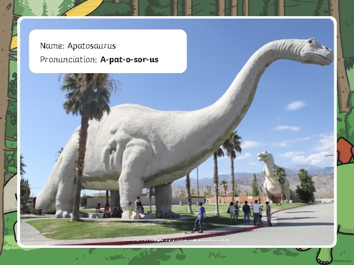 W Name: Apatosaurus Pronunciation: A-pat-o-sor-us Photo courtesy of Sam Howzit(@flickr. com) - granted under