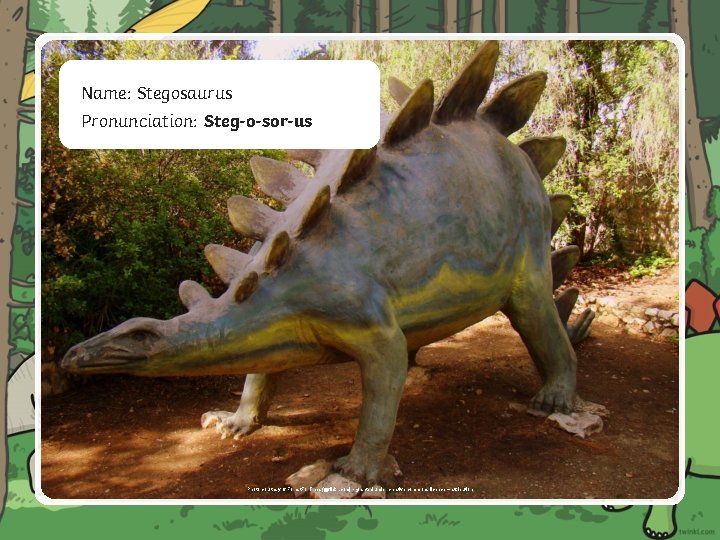 W Name: Stegosaurus Pronunciation: Steg-o-sor-us Photo courtesy of Forest. For. Trees(@flickr. com) - granted