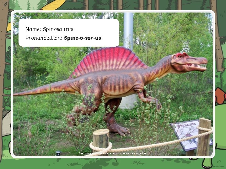 W Name: Spinosaurus Pronunciation: Spine-o-sor-us Photo courtesy of Andrew 94(@flickr. com) - granted under