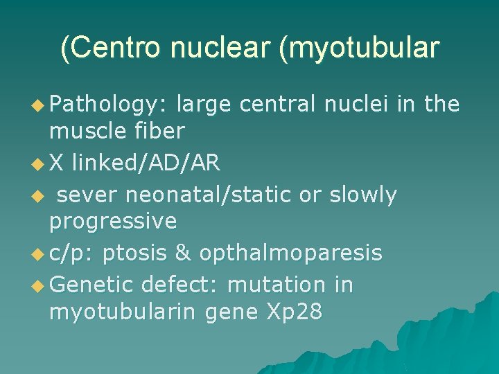 (Centro nuclear (myotubular u Pathology: large central nuclei in the muscle fiber u X