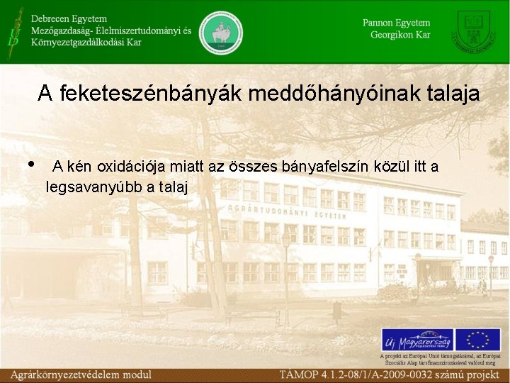 A feketeszénbányák meddőhányóinak talaja • A kén oxidációja miatt az összes bányafelszín közül itt