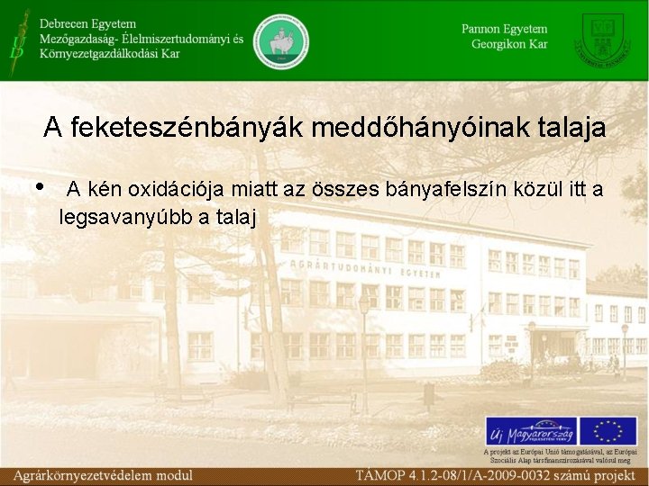 A feketeszénbányák meddőhányóinak talaja • A kén oxidációja miatt az összes bányafelszín közül itt