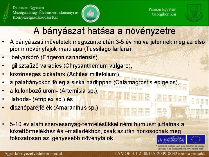 A bányászat hatása a növényzetre • A bányászati műveletek megszűnte után 3 -5 év