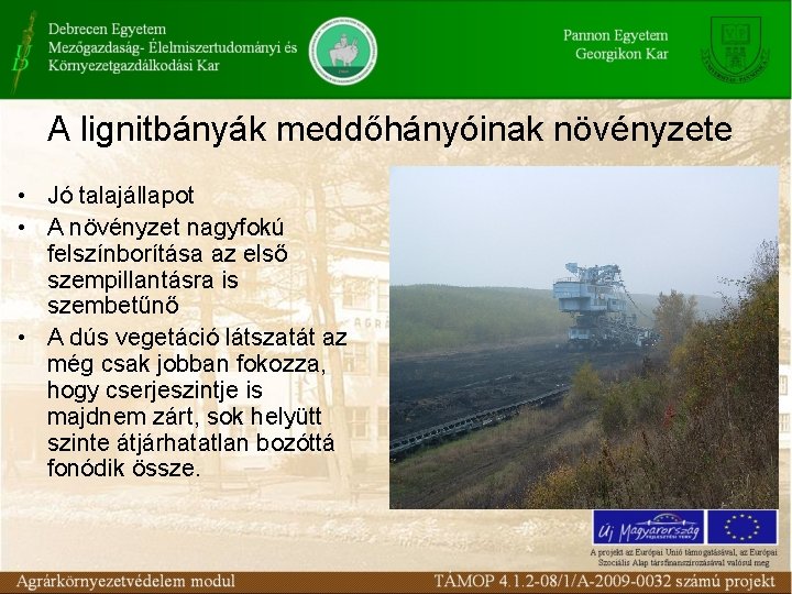 A lignitbányák meddőhányóinak növényzete • Jó talajállapot • A növényzet nagyfokú felszínborítása az első