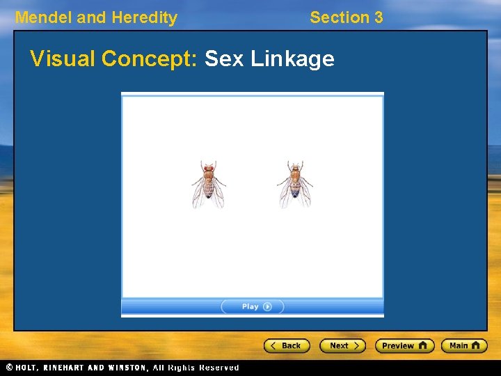 Mendel and Heredity Section 3 Visual Concept: Sex Linkage 