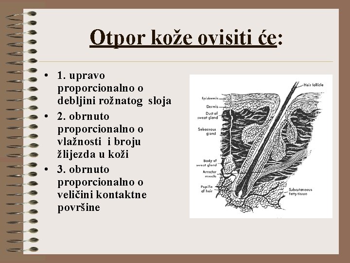 Otpor kože ovisiti će: • 1. upravo proporcionalno o debljini rožnatog sloja • 2.