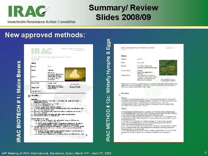 Insecticide Resistance Action Committee Summary/ Review Slides 2008/09 IRAC METHOD # 12 c: Whitefly