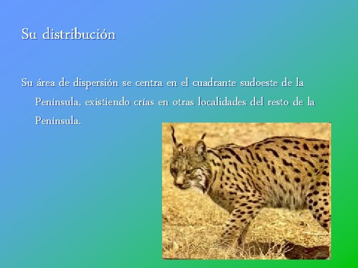 Su distribución Su área de dispersión se centra en el cuadrante sudoeste de la