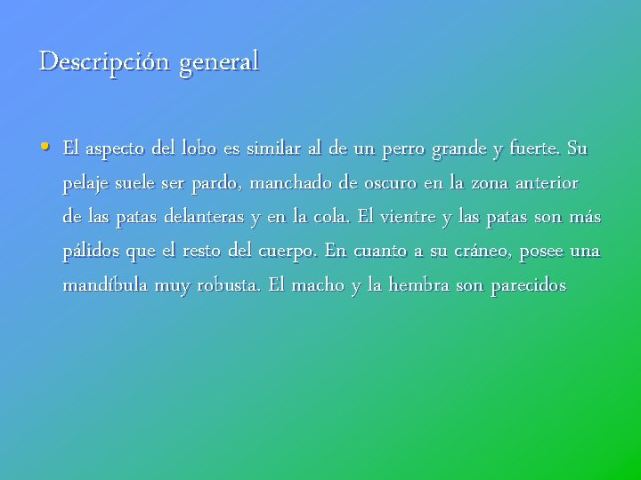 Descripción general • El aspecto del lobo es similar al de un perro grande