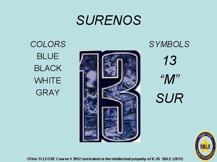 SURENOS COLORS BLUE BLACK WHITE GRAY SYMBOLS 13 “M” SUR ©This TCLEOSE Course #