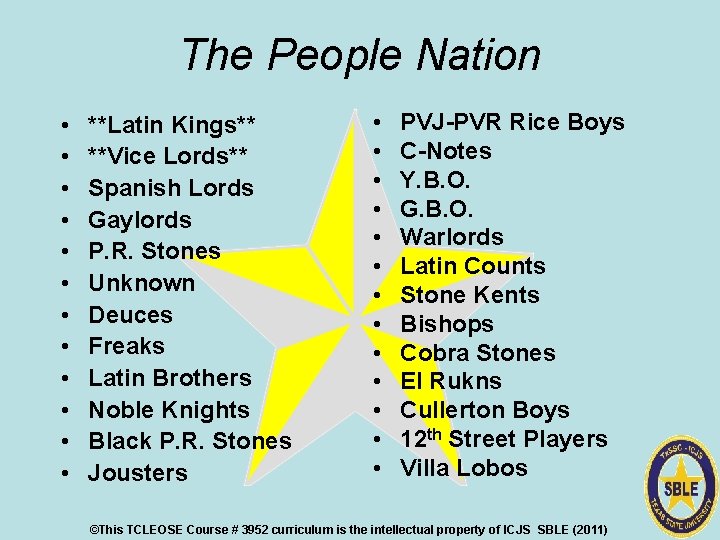 The People Nation • • • **Latin Kings** **Vice Lords** Spanish Lords Gaylords P.