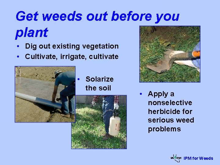 Get weeds out before you plant • Dig out existing vegetation • Cultivate, irrigate,