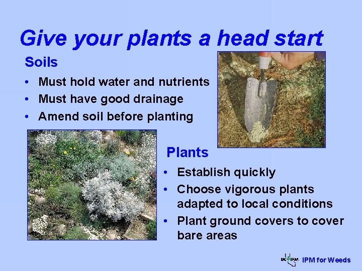 Give your plants a head start Soils • Must hold water and nutrients •