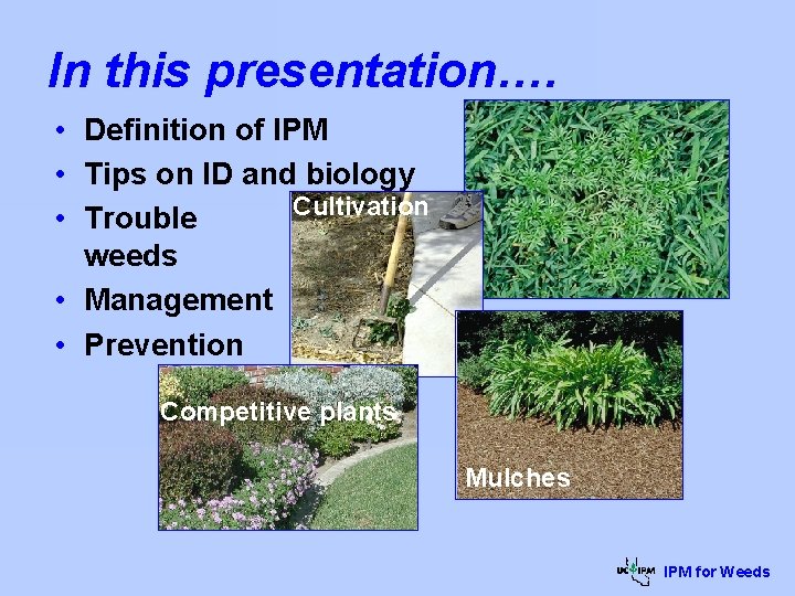 In this presentation…. • Definition of IPM • Tips on ID and biology Cultivation