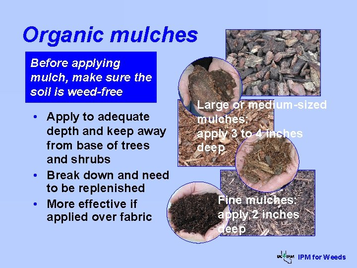 Organic mulches Before applying mulch, make sure the soil is weed-free • Apply to