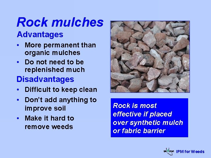 Rock mulches Advantages • More permanent than organic mulches • Do not need to