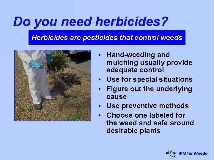 Do you need herbicides? Herbicides are pesticides that control weeds • Hand-weeding and mulching