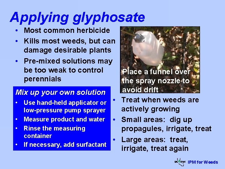Applying glyphosate • Most common herbicide • Kills most weeds, but can damage desirable