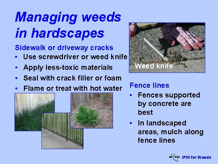 Managing weeds in hardscapes Sidewalk or driveway cracks • Use screwdriver or weed knife