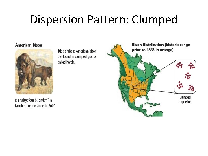 Dispersion Pattern: Clumped 
