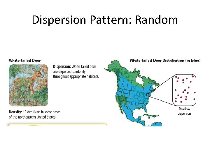 Dispersion Pattern: Random 