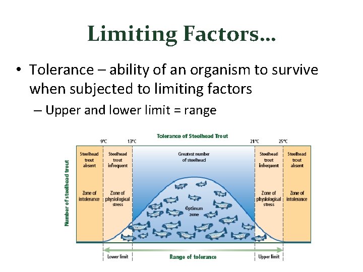 Limiting Factors… • Tolerance – ability of an organism to survive when subjected to