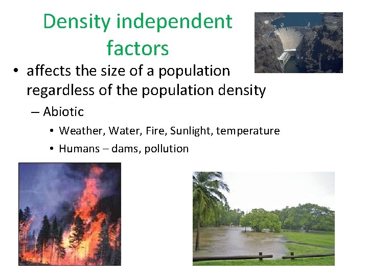 Density independent factors • affects the size of a population regardless of the population